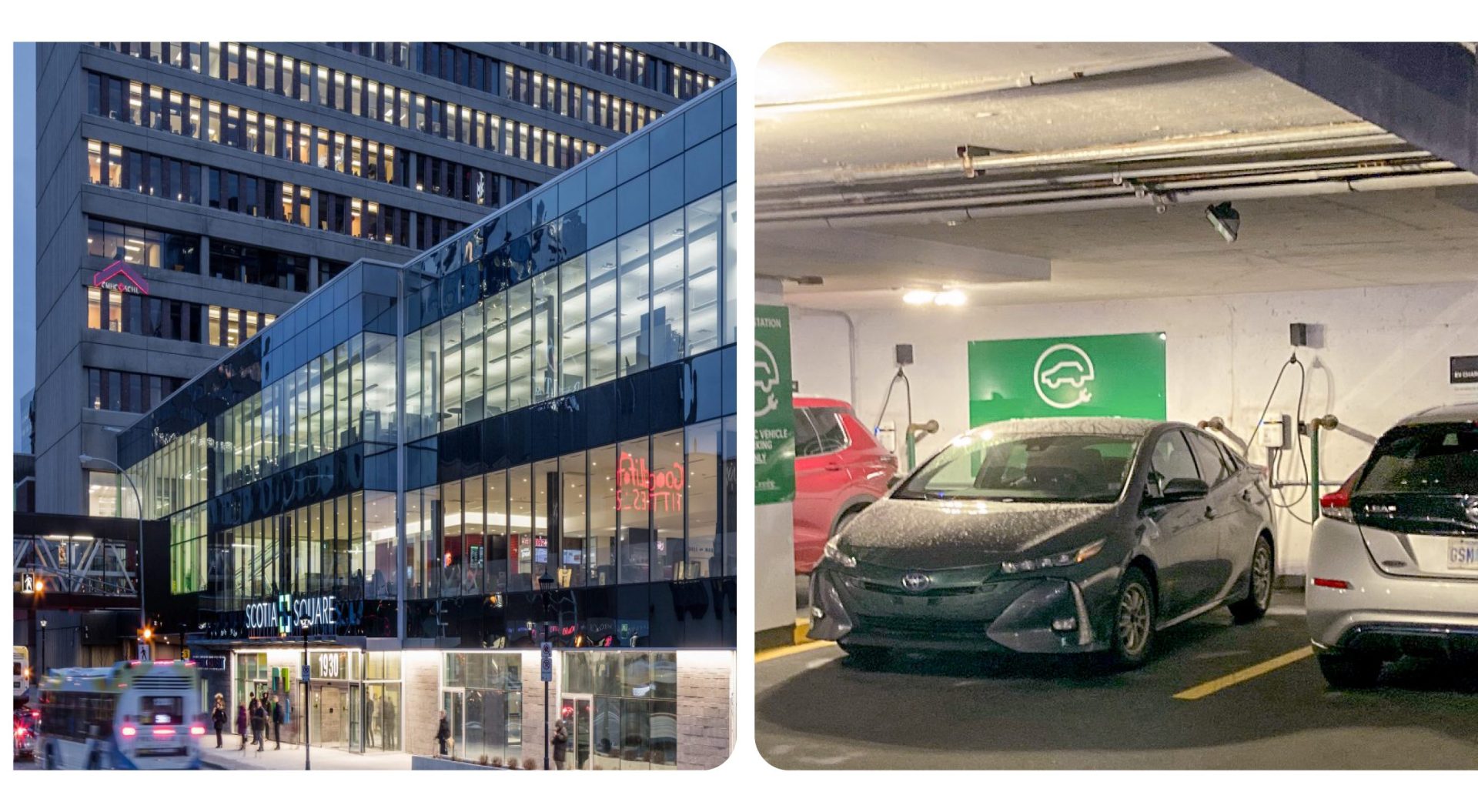 Crombie Scotia Square